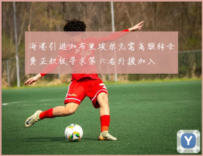 海港引进加布里埃尔无需高额转会费正积极寻求第六名外援加入